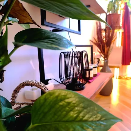 Cozyhome Medena Central, Quiet Premium Spot In Old Town *