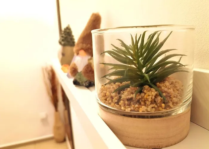 Cozyhome Medena Central, Quiet Premium Spot In Old Town