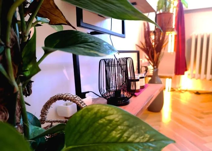 Cozyhome Medena Central, Quiet Premium Spot In Old Town *